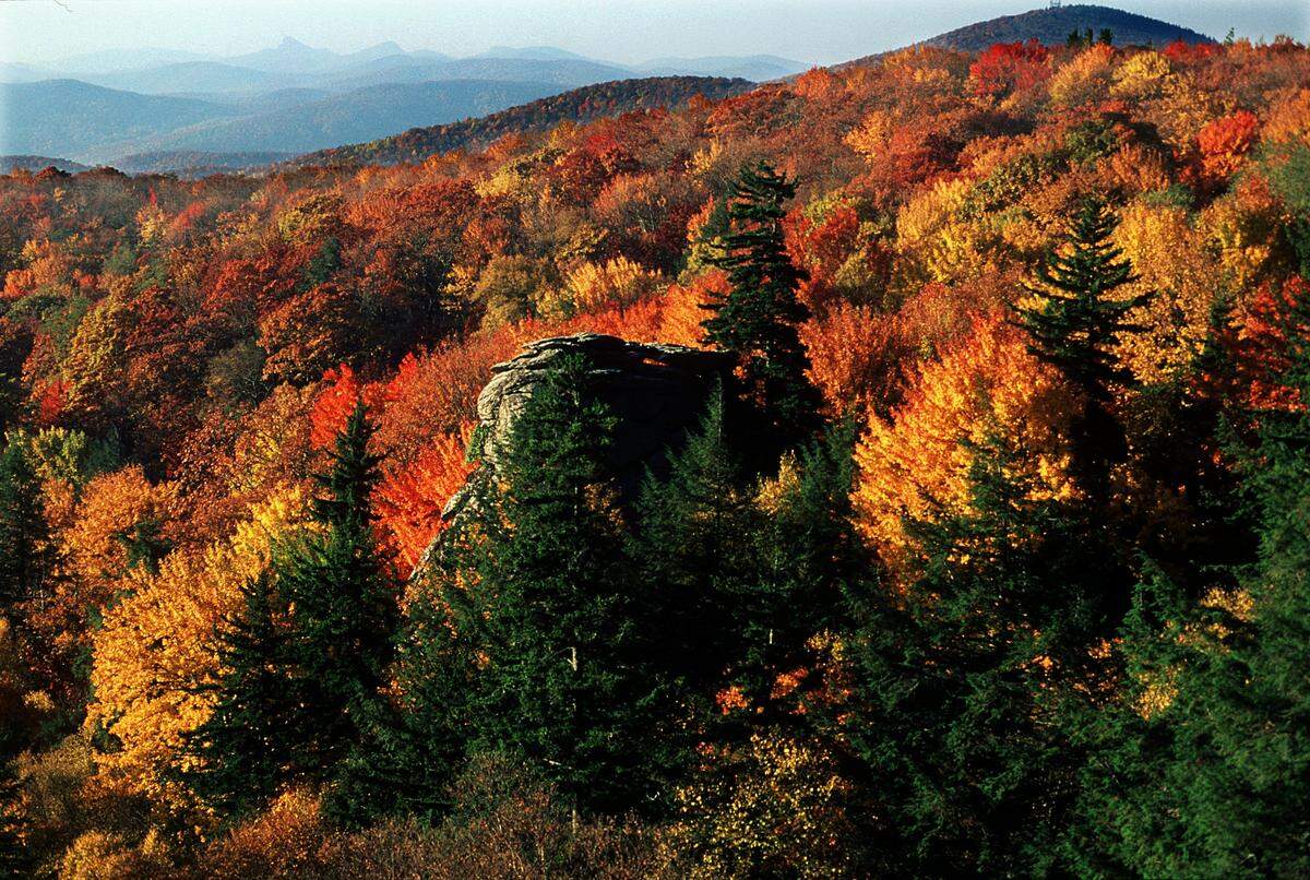 Fall color along the Blue Ridge Parkway near Grandfather Mountain in Linville, NC.