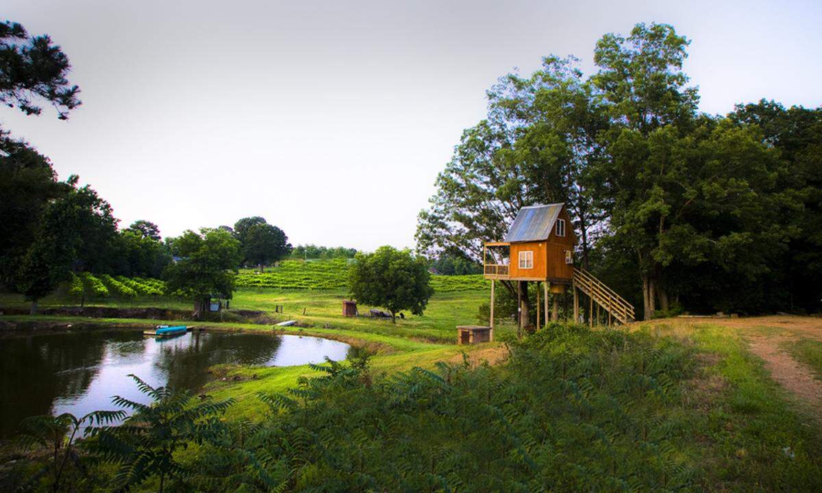 Treehouse Vineyards, located in Monroe, is about 45 minutes away from Charlotte.