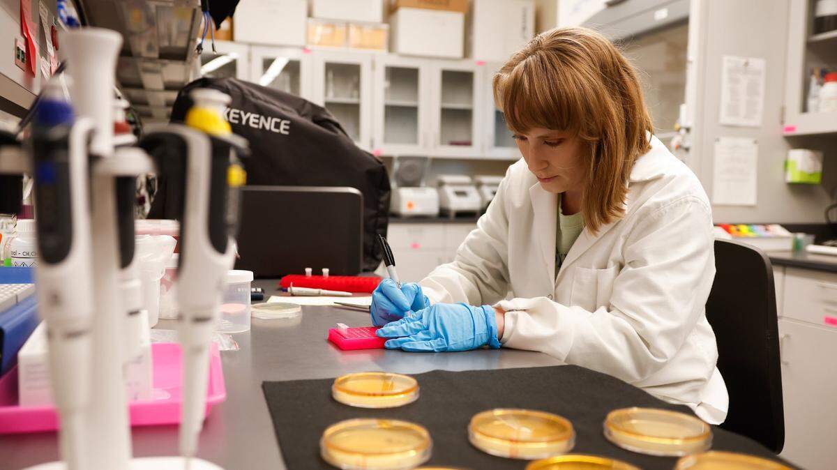 Alison Moore, a microbiology graduate student, works in the Carter Lab at UNC Charlotte. The Trump administration’s plan to cut funding for health research funding.