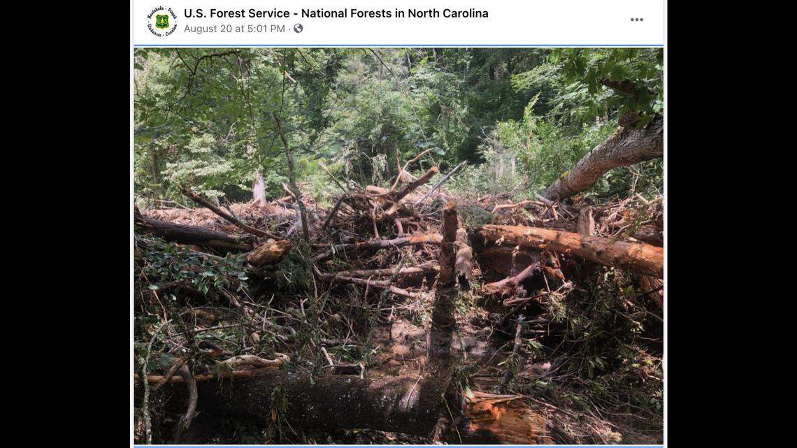 One of North Carolina’s most popular waterfalls has become dangerous due to a half-acre sized log jam at the top of the 60-foot falls in Pisgah National Forest.
