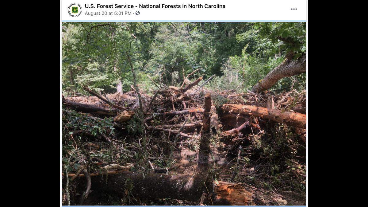 One of North Carolina’s most popular waterfalls has become dangerous due to a half-acre sized log jam at the top of the 60-foot falls in Pisgah National Forest.