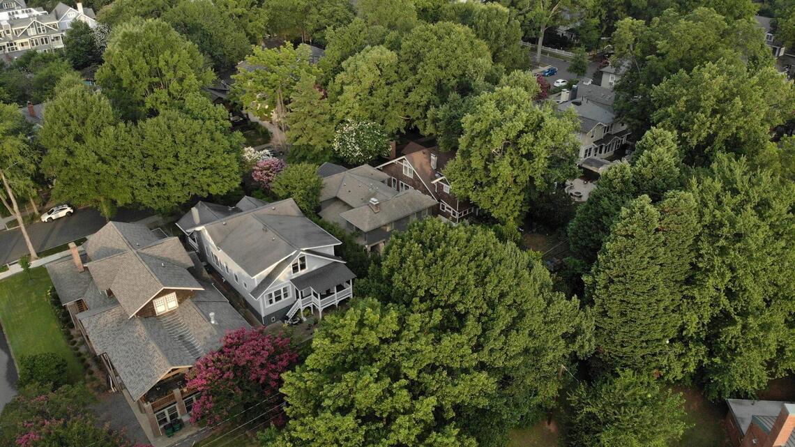 With Charlotte’s rapid growth, its tree canopy is dwindling. How can it be preserved?