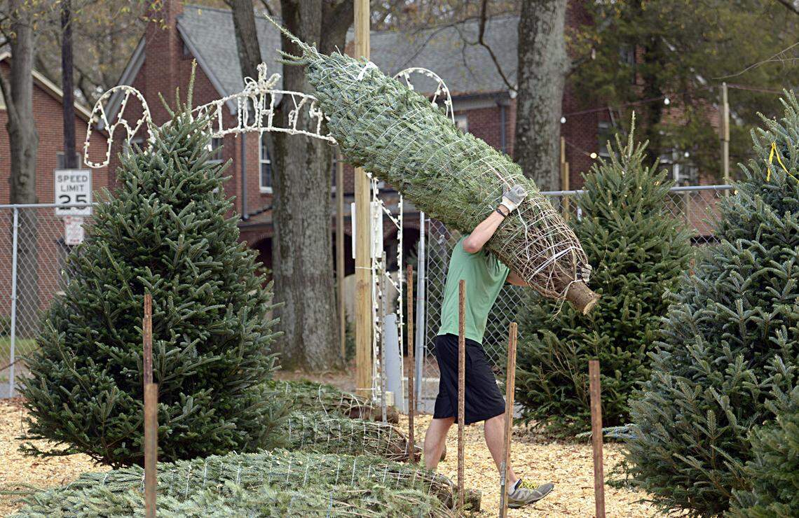 James Simpson carries a tree from Darrell Simpson Family Christmas Trees. Darrell’s son, David, one of Charlotte’s best known Christmas tree merchants, died last week from COVID-19. JEFF WILLHELM - jwillhelm@charlotteobserver.com