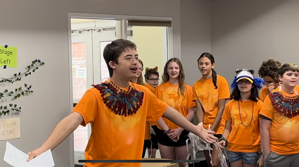 Matthews Playhouse received $40,000 in state funding for its inclusive programming, which includes its summer camp, show performing “Lion King” for family and friends.