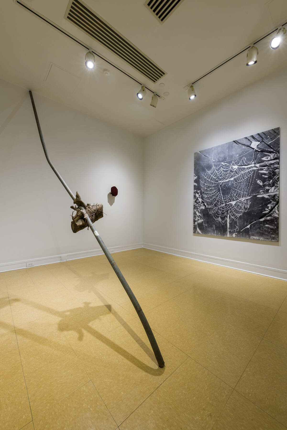 The title of this work, “but I sound better since you cut my throat,” comes from a poem by Fred Moten, whose work deals with race and sociopolitical divides. This Mendez piece symbolizes nature overtaking what man intended to be a barrier.