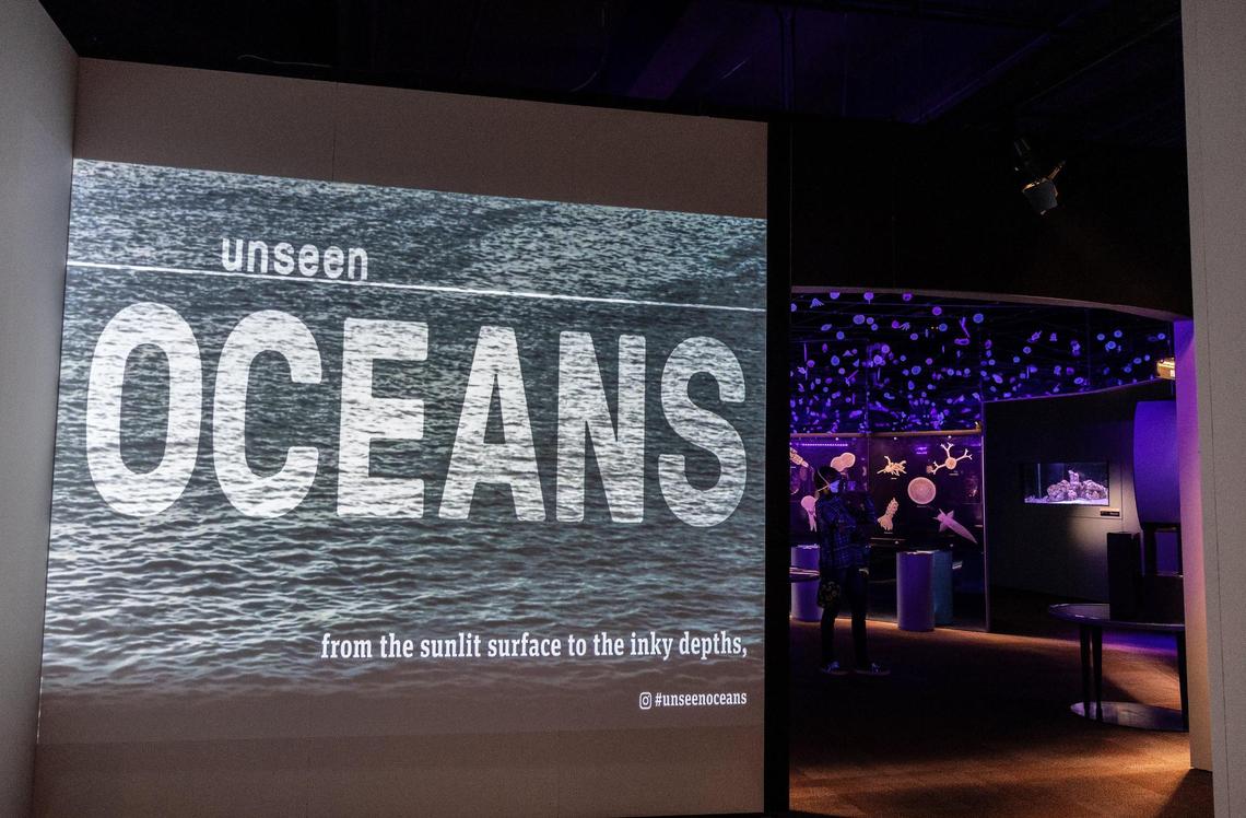 “Unseen Oceans” answers a range of questions, from how whales spend their days to what’s happening to the deep waters surrounding Hawaii.