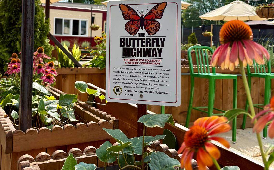 Tyber Creek’s new patio includes a variety of native plants, earning it a place on the Butterfly Highway.
