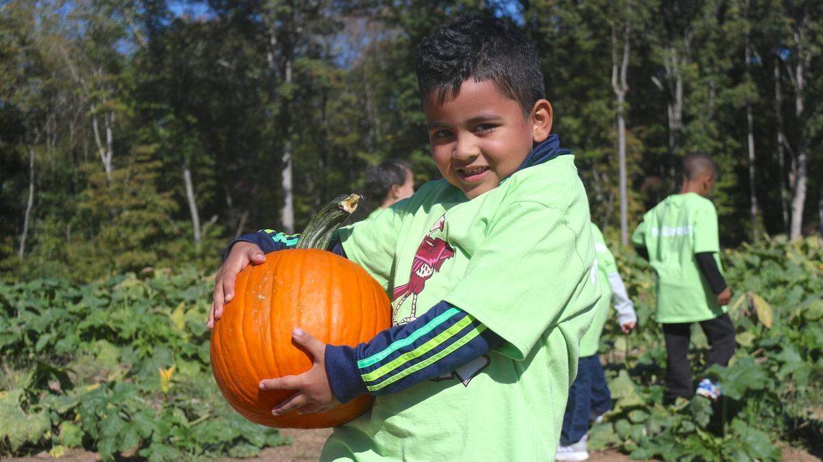 Pumpkin picking will begin on Oct. 2 at Carrigan Farms and will last through the month of October. Take a hayride to the pumpkin patch and pick your own pumpkin.