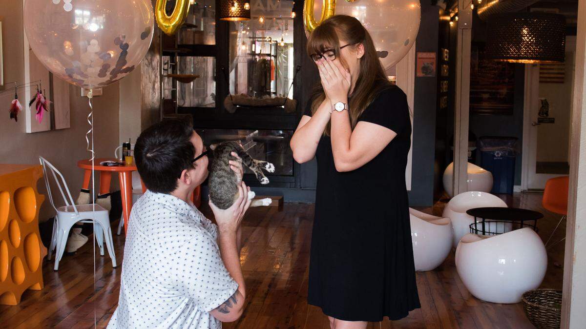 Sean Pitchford proposed to his girlfriend, Leanna Gardener, at Mac Tabby Cat Cafe in Charlotte during a surprise photo shoot.