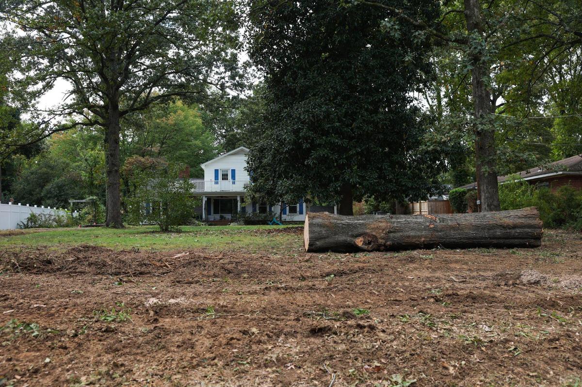 A part of one tree that was cut down rests in the front yard of a house on West Sugar Creek Road.
