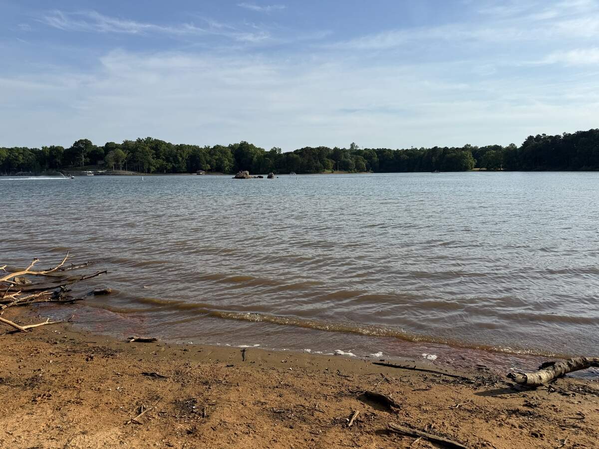 With 1,460 acres of forests, trails and lakefront views, Latta Nature Preserve in Huntersville is Mecklenburg County’s largest nature preserve.