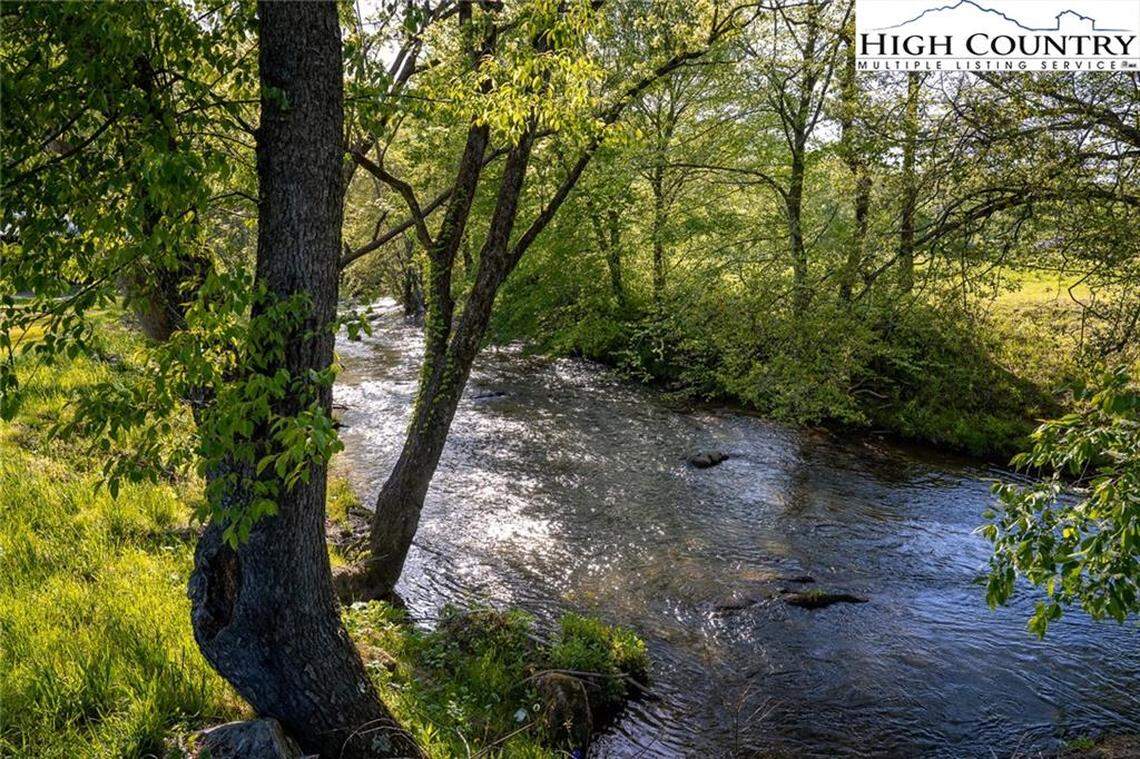A trout stream gushes in Falling Waters.
