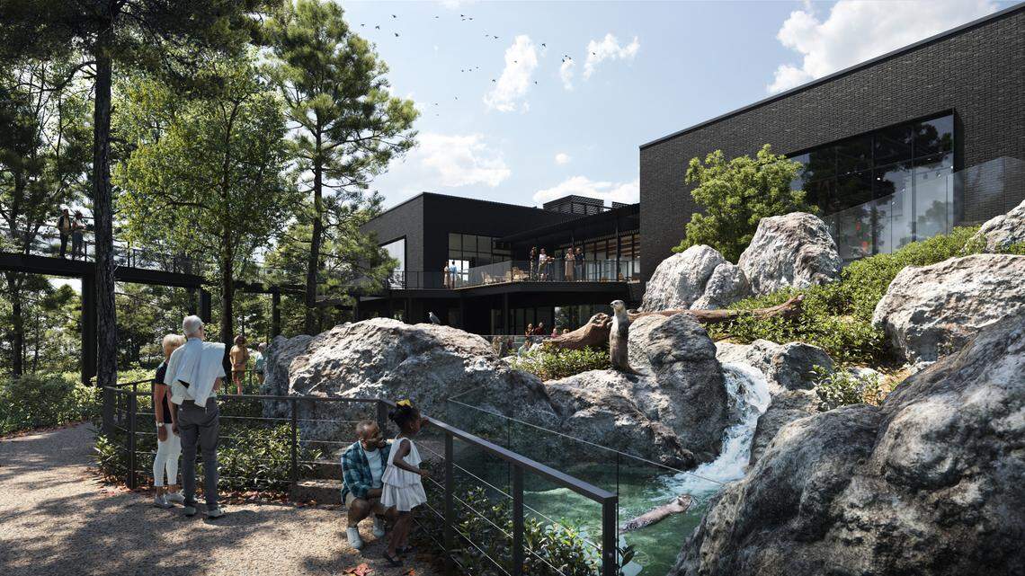 An outdoor otter exhibit is part of the plans for Discovery Place Nature’s new museum in Charlotte.