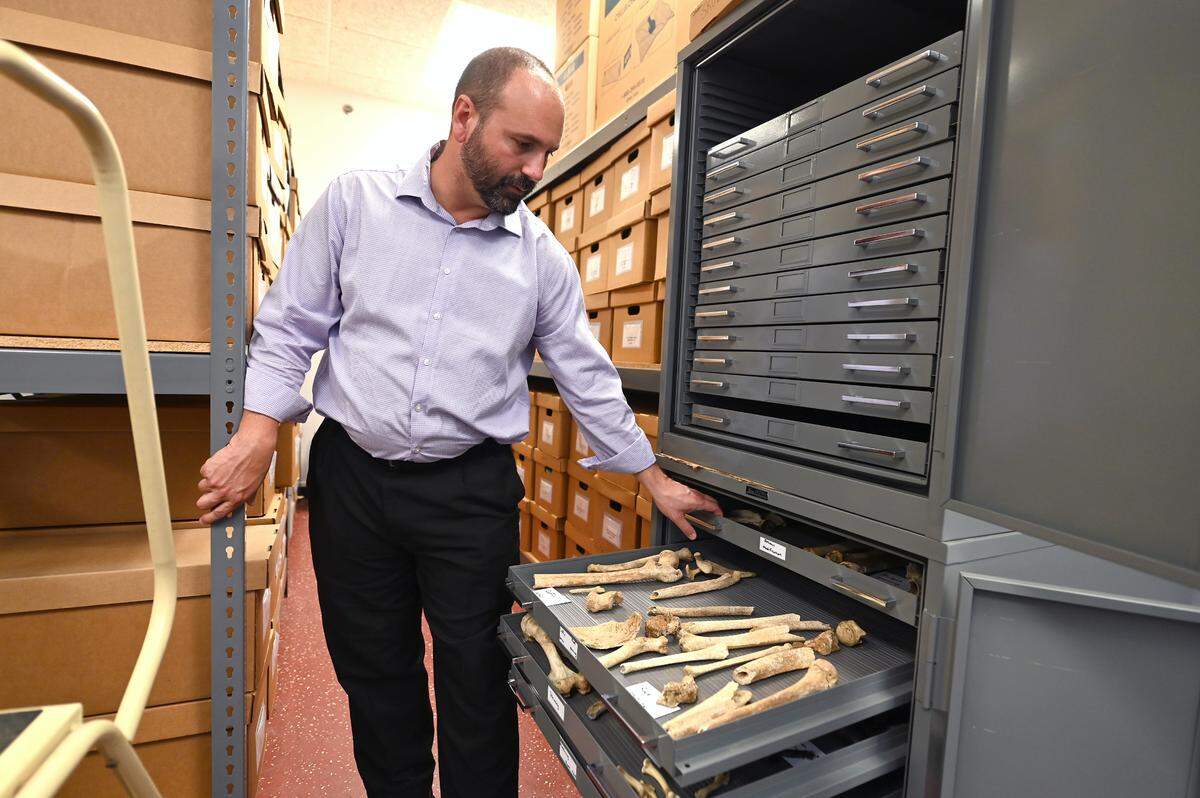 Nicholas Passalacqua, the Western Carolina University director of forensic anthropology opens a drawer containing skeletal remains on Friday, September 8, 2023. The university has a Forensic Osteology Research Station (FOREST) in Cullowhee, NC.