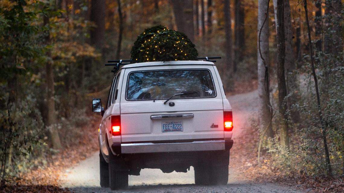 Winter at Whitewater at the Whitewater Center includes Christmas trees for sale.