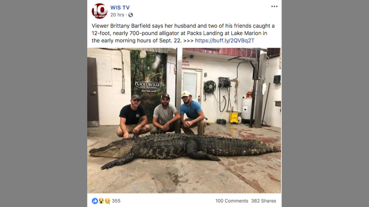 One of the men’s wives shared photos of the gator with local television stations.