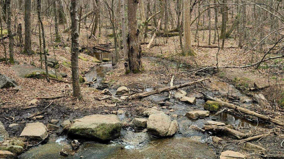 Forty Acre Rock Heritage Preserve in Kershaw, South Carolina.