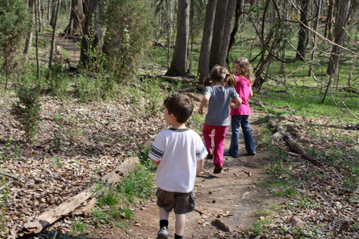 Latta Nature Center and Preserve includes a Nature Center and is close to Carolina Raptor Center and Latta Plantation, as well.