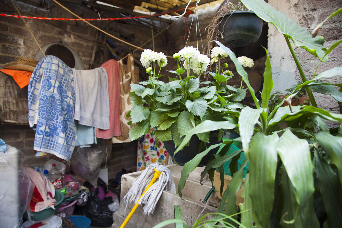 Towels hang on a make-shift clothesline that Maria Vázquez has strung across her patio. Currently, nine members of Sam's extended family live with Maria in the Nezahualcóyotl home.