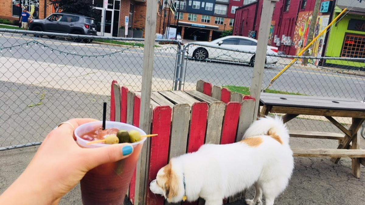 Bloody Mary at Dog Bar in NoDa.