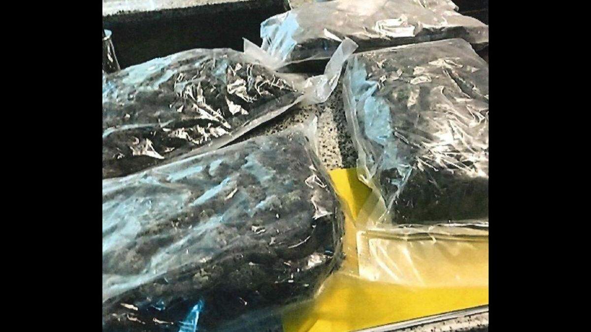 Mecklenburg County Sheriff’s deputies found several large-sealed bags filled with a “green leafy substance” during an eviction at an apartment on Wednesday, June 1.
