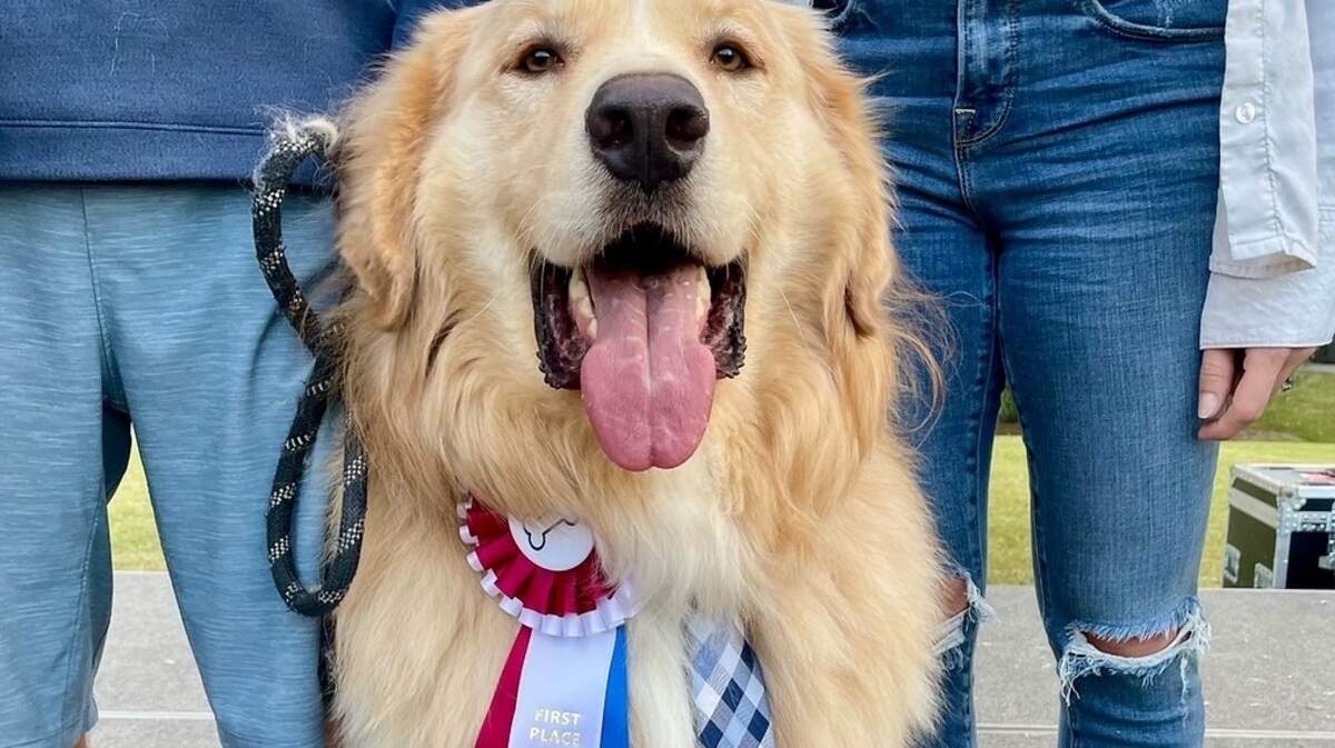 The 23rd Annual All American Dog Show takes place Sunday, Oct. 1.