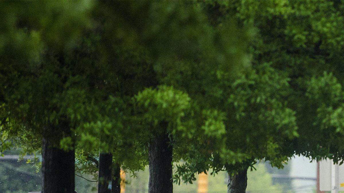 Amanda Barts walks with her son, Kyle, in the rain down 7th Street on April 5, 2017. Severe storms, including the possibility for isolated tornadoes, was forecasted for Charlotte and the surrounding areas.

