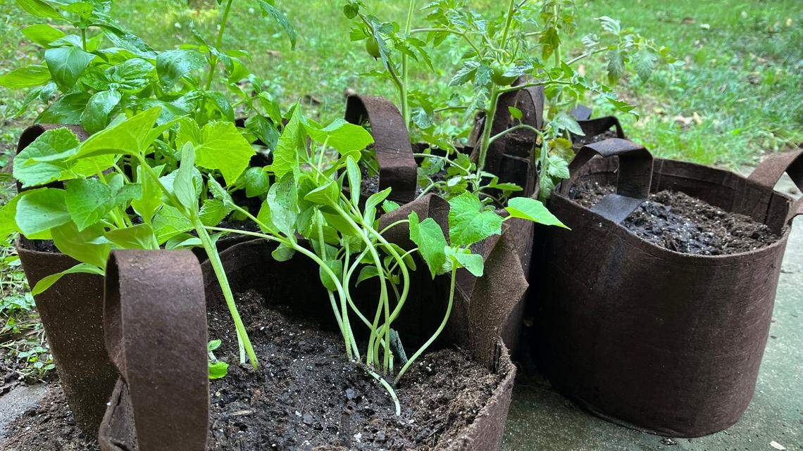 Container gardening can mean using small containers, raised beds or just bags of dirt.