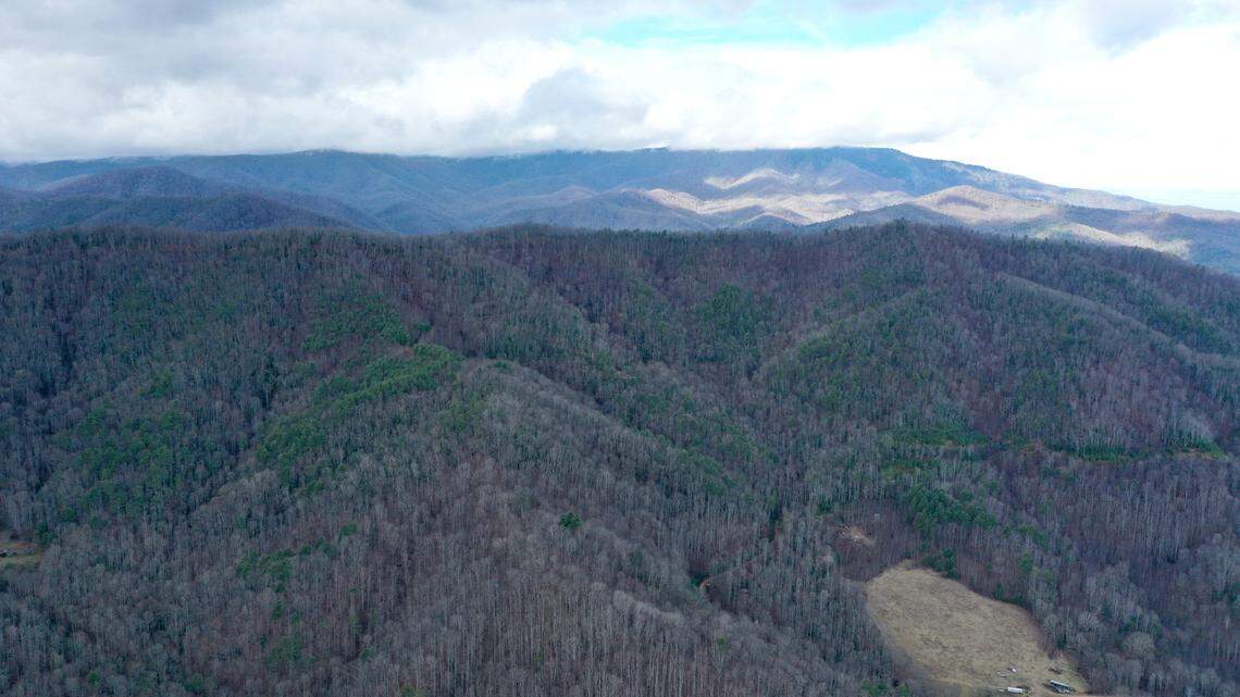 In late 2024, the Southern Appalachian Highlands Conservancy purchased 407 acres that will protect ridge lines from being developed along Great Smoky Mountains National Park in Haywood County, North Carolina.
