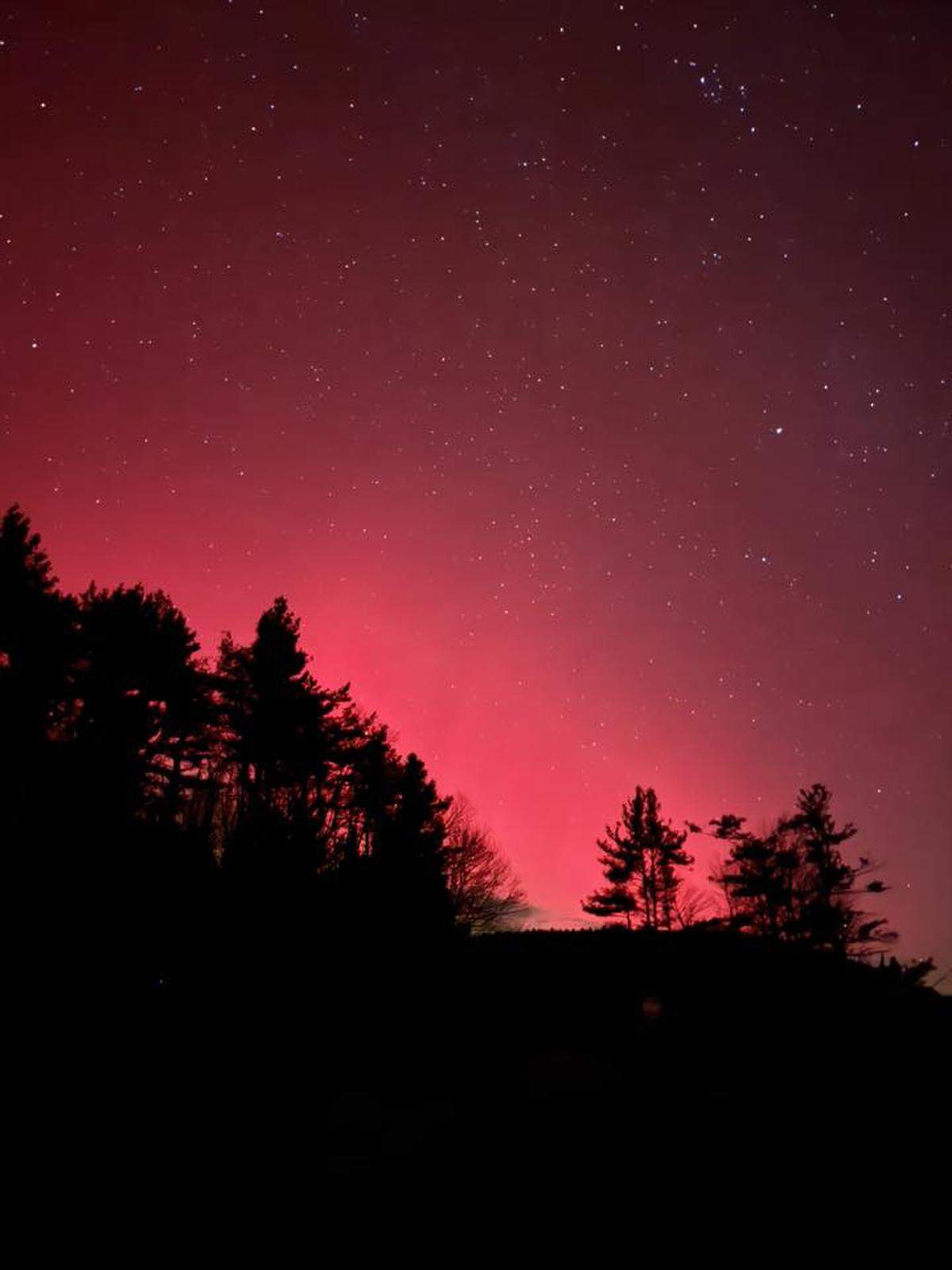 A dramatic, vertical nighttime photo of the aurora borealis with an extremely intense, vibrant red and magenta glow filling the sky above the horizon. The upper part of the image is a clear, dark sky filled with bright stars. The lower half features a dark, silhouetted hillside covered in evergreen and deciduous trees, which frame the powerful light display.