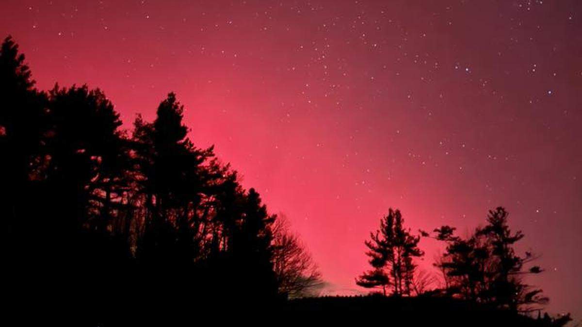 A dramatic, vertical nighttime photo of the aurora borealis with an extremely intense, vibrant red and magenta glow filling the sky above the horizon. The upper part of the image is a clear, dark sky filled with bright stars. The lower half features a dark, silhouetted hillside covered in evergreen and deciduous trees, which frame the powerful light display.