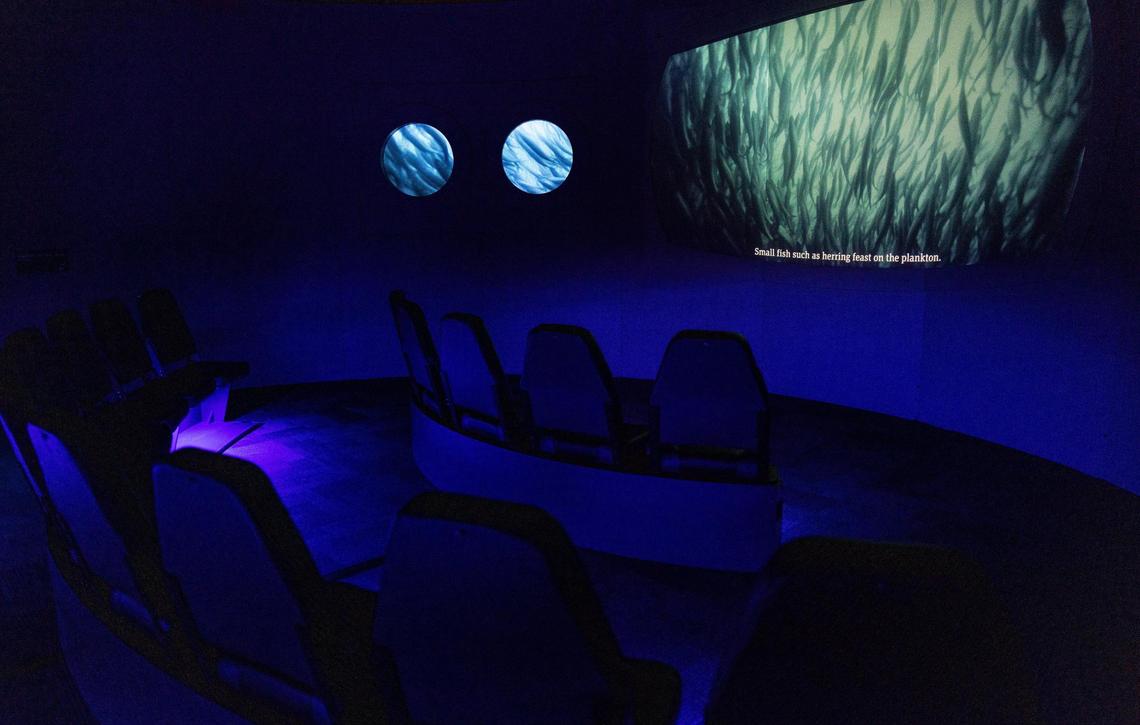 Among its attractions, “Unseen Oceans” includes a recreation of an undersea landscape from the Galapagos seamount chain and kinetic sand where visitors can reshape the ocean floor.