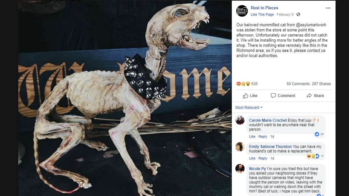 This is the mummified cat that vanished from a Richmond, Virginia, oddities shop Friday. Facebook screenshot
