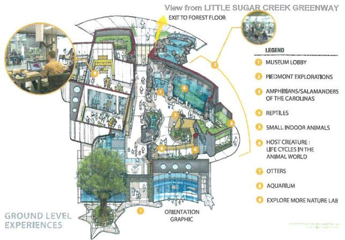 This is an early plan for a new Discovery Place Nature museum in Myers Park that would include an otter habitat and lots of hands-on exhibit space.