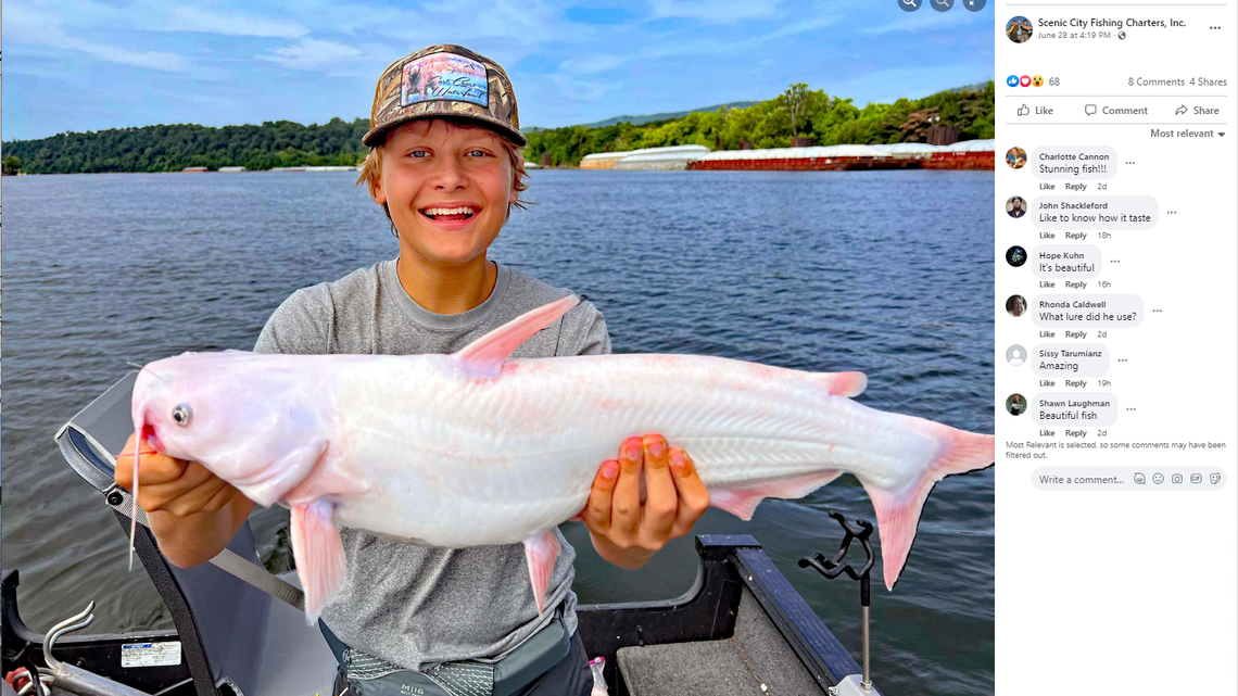 A 15-year-old fisherman caught a rare white catfish while fishing on the Tennessee River, a boat captain said.