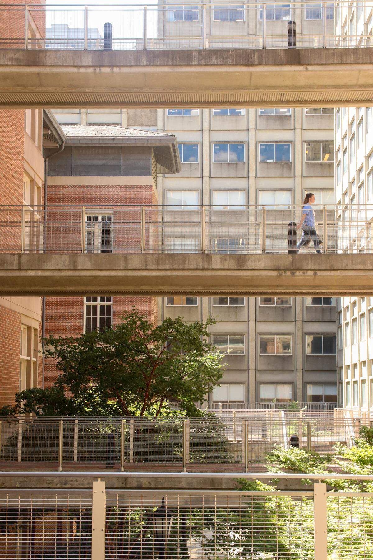 Title: Urban Maze - a pedestrian crosses a bridge overlooking the UNC-Chapel Hill classrooms on June 20, 2024.