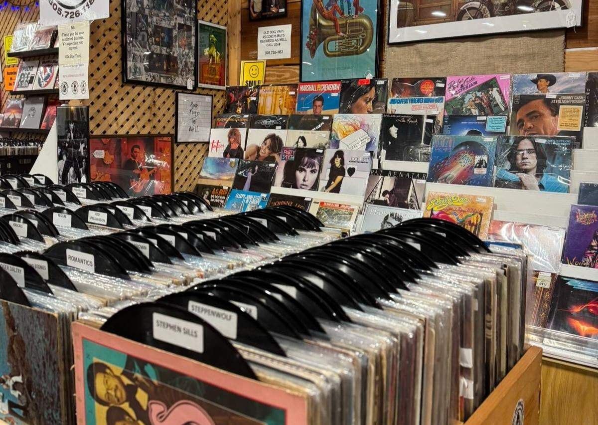 A view across several rows of wooden bins overflowing with vinyl records in a store. Black dividers organize the albums, one of which is labeled “Stephen Stills.” The back wall features a display of classic record covers and signs for “Old Dog Vinyl Records.”