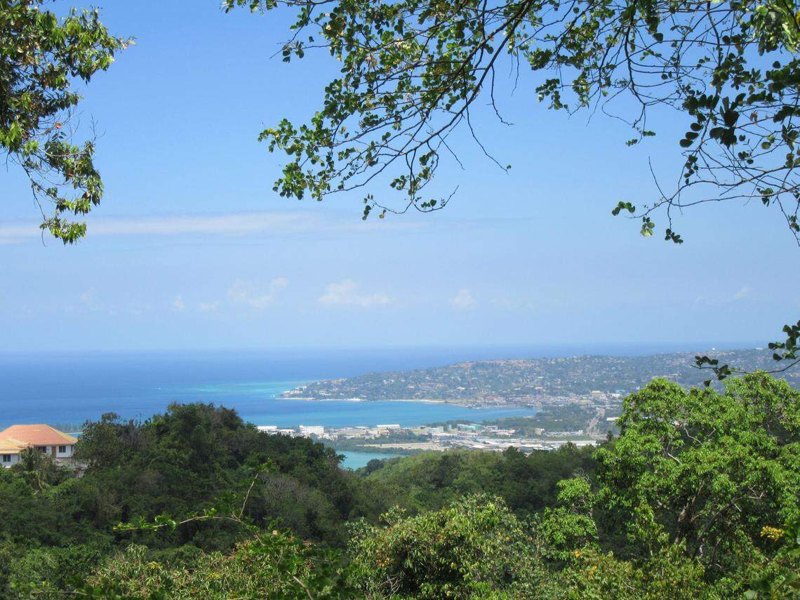 Views of Montego Bay, Jamaica from the Rocklands Bird Sanctuary.