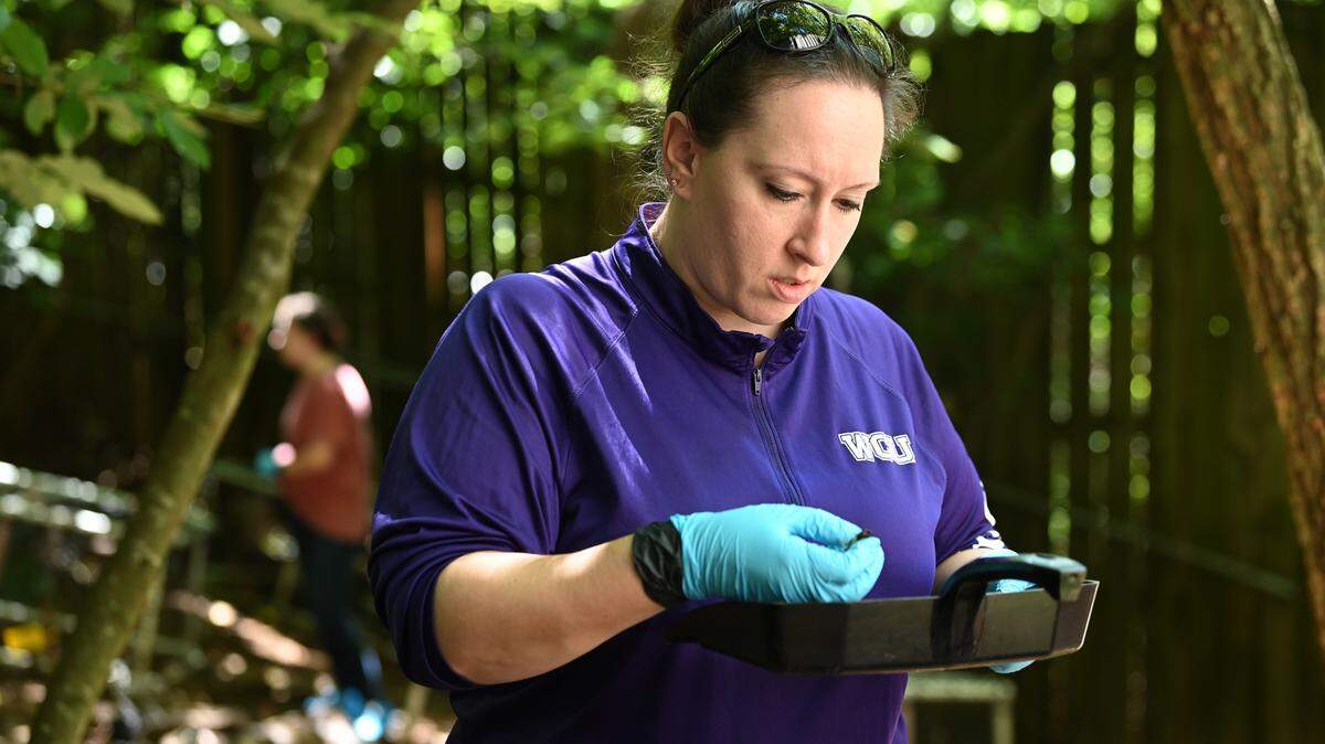 Mystery deaths and cold cases in Charlotte increasingly solved by family trees, DNA