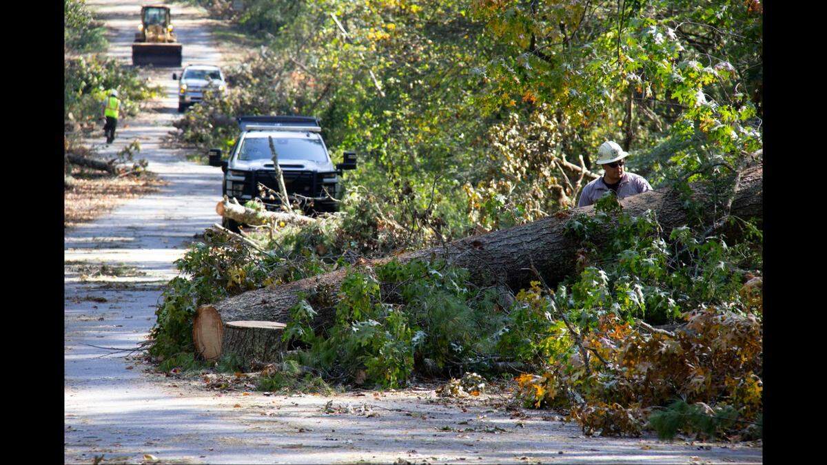 Tropical Storm Helene sent decades-old trees tumbling onto the road in some areas. Crews are cutting them into pieces for removal, park officials say.