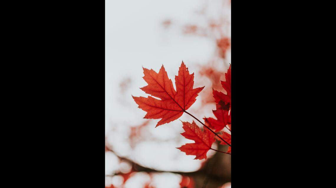 Two North Carolina destinations rank among the best places for fall trips. This file photo was taken in Oregon.