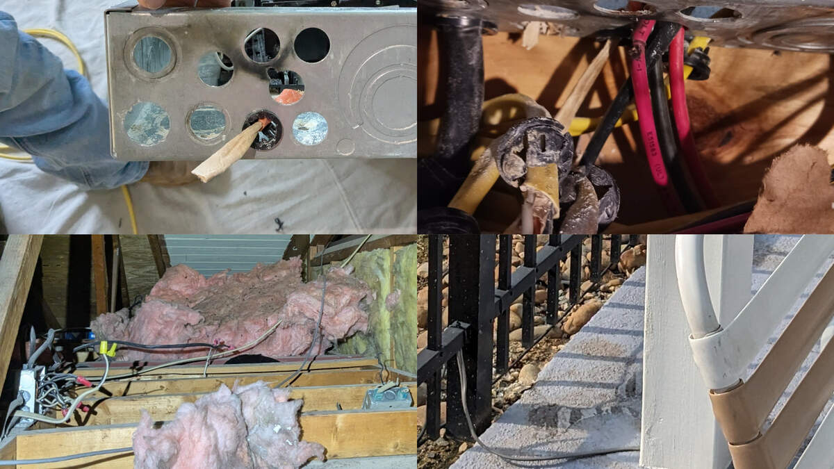 Photos taken at SouthPark Swim & Tennis Club show unsecured wires, electrical burn marks and wires on the pool deck.