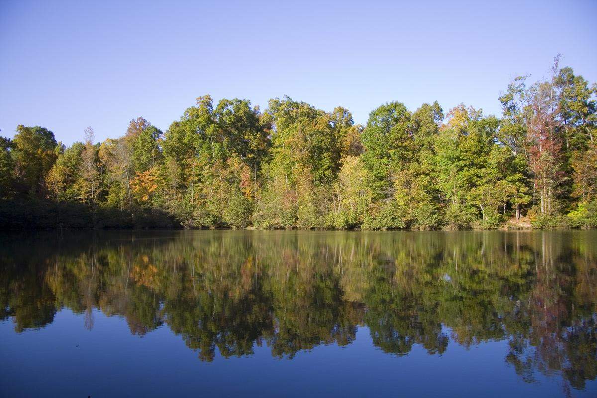 Reedy Creek Park was one of Layla Sigmund’s favorite places to explore.