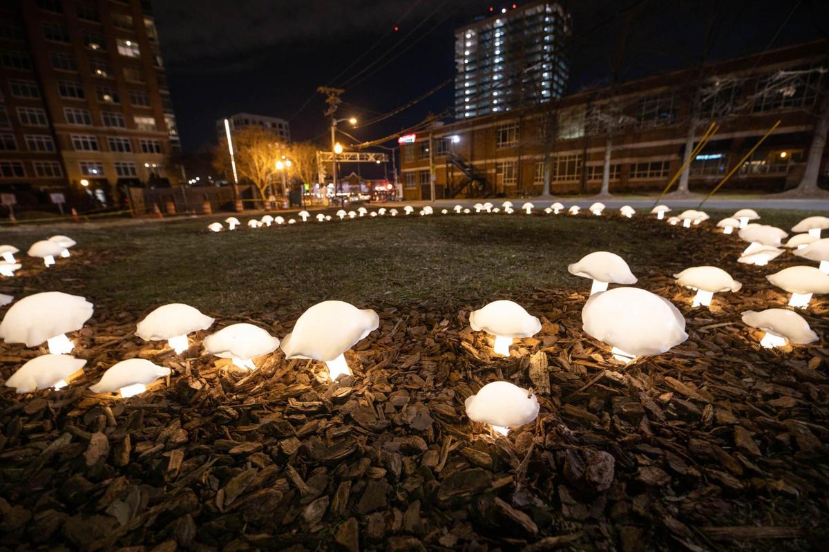 “Fairy Ring” by Meredith Connelly features dozens of lit-up mushrooms.