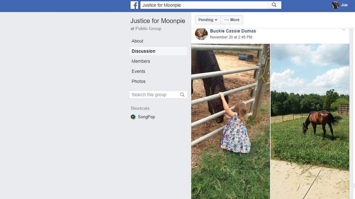Friends of a mare named Moonpie have upped the reward for information about who killed her in her small, enclosed Gaston County, North Carolina, pasture.