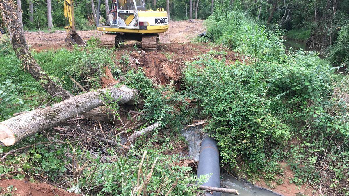 Up to 2.6 million gallons of sewage spilled into a tributary of the Catawba River when a tree, left in this photo, fell beside an 18-inch sewer pipe. The tree’s roots broke the pipe on the bank of Taggart Creek.