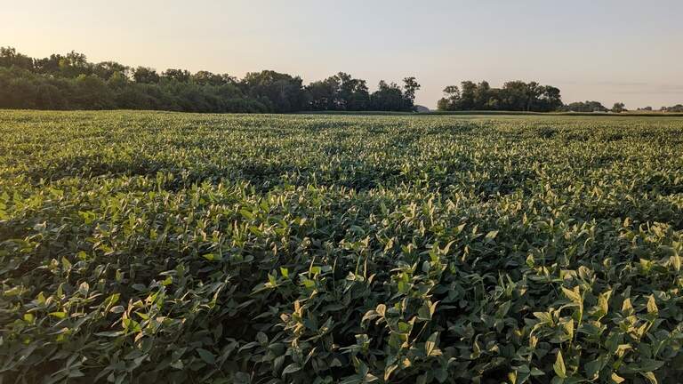 NC targeted for expansion by company that turns human remains into compost