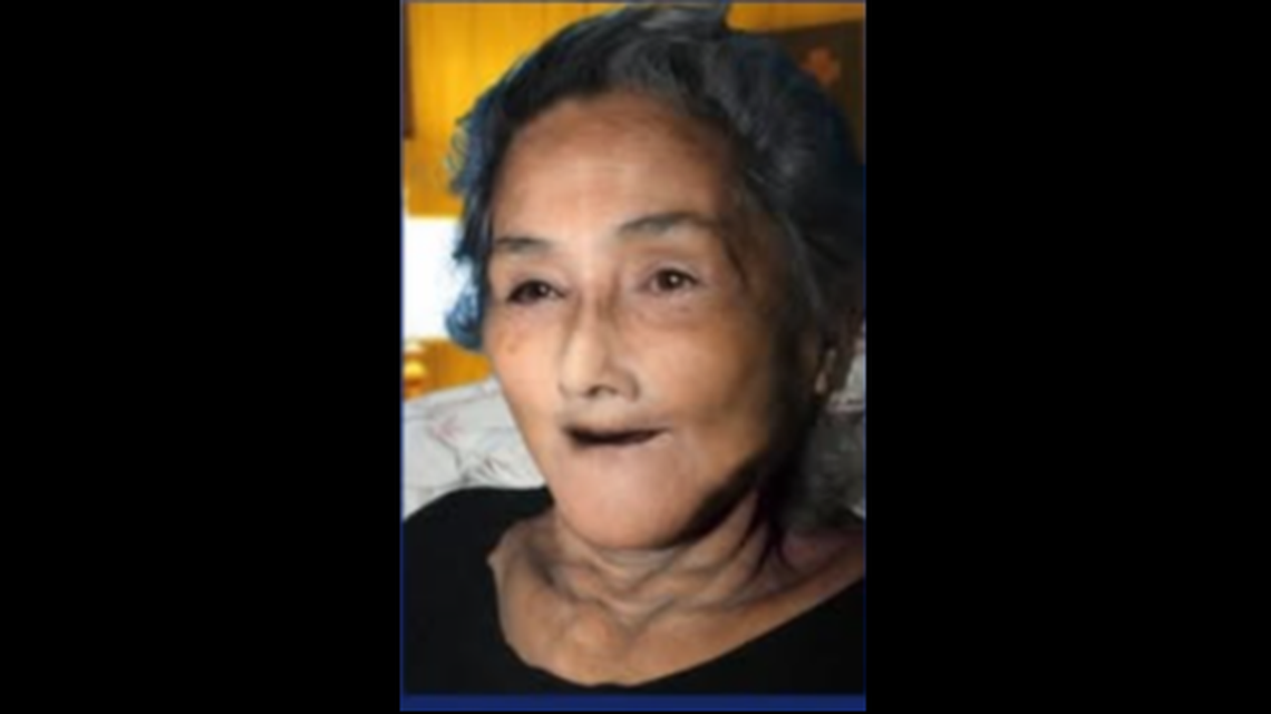 This updated sketch of the woman was released Dec. 3 by the Fayetteville Police Department.