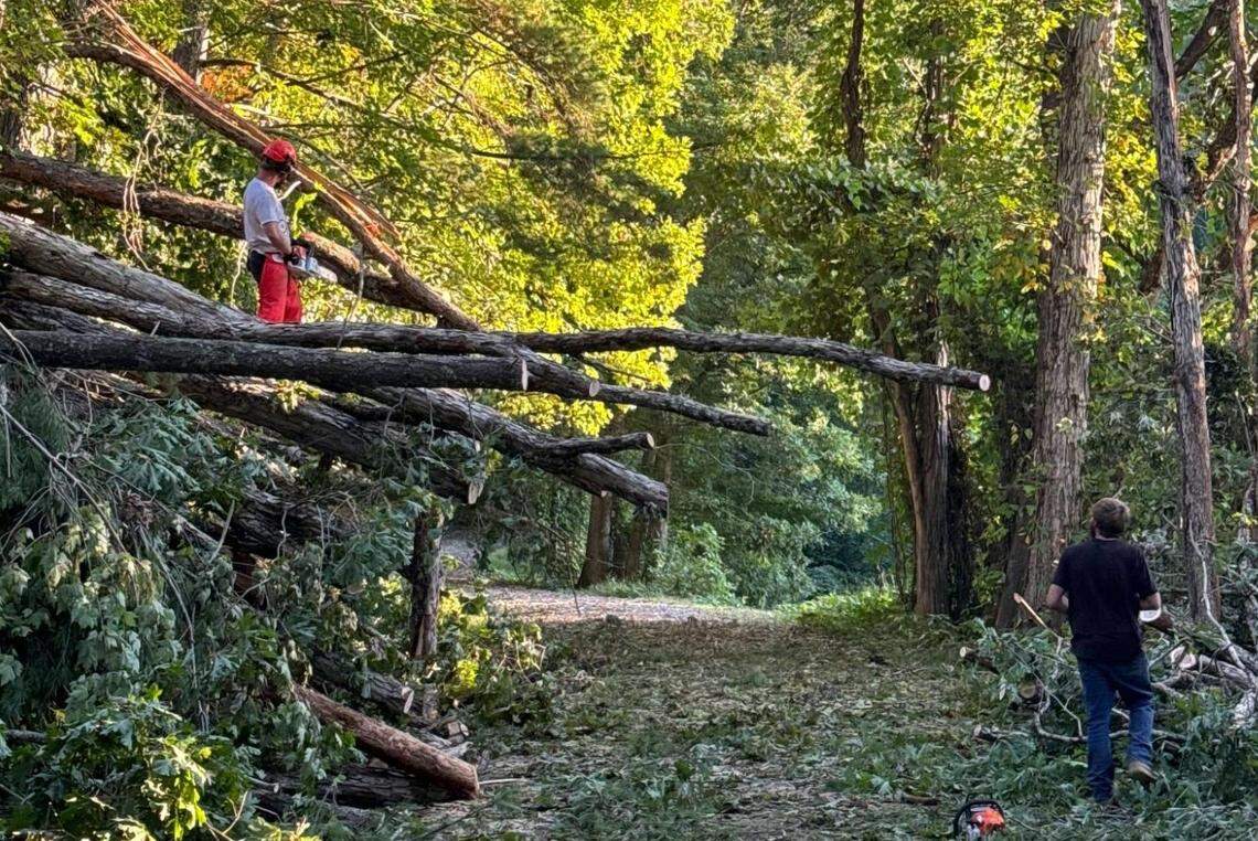 PIE.ZAA owner Tyler Kotch is helping employees at his Asheville pizzeria and others in the community by clearing fallen trees and other debris off roads in the community.