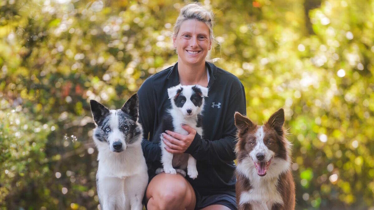 Laurren Zimmerman, a certified canine athlete specialist, shows off her border collies Dublin, Savage and Maestro.